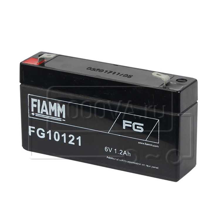 FG 10121