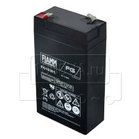 FIAMM FG 10381