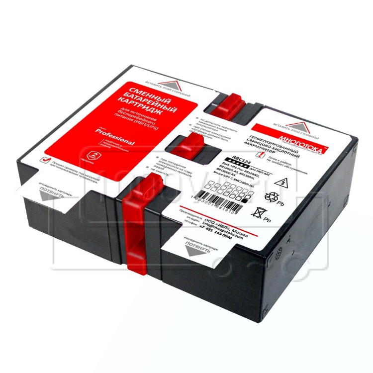 RBC124 Professional. Гарантия 24 месяца
