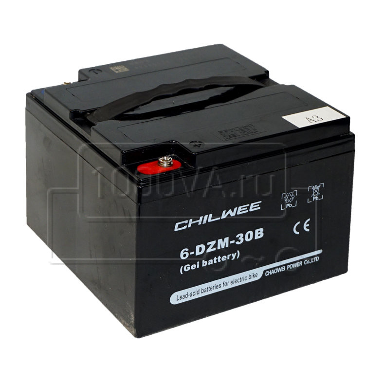 chilwee-6-dzm-30b.jpg