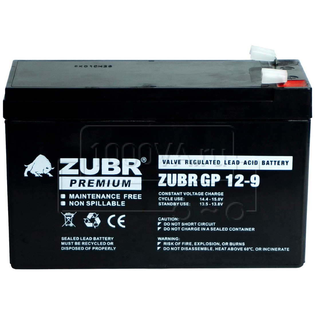 zubr-gp-12-9.jpg