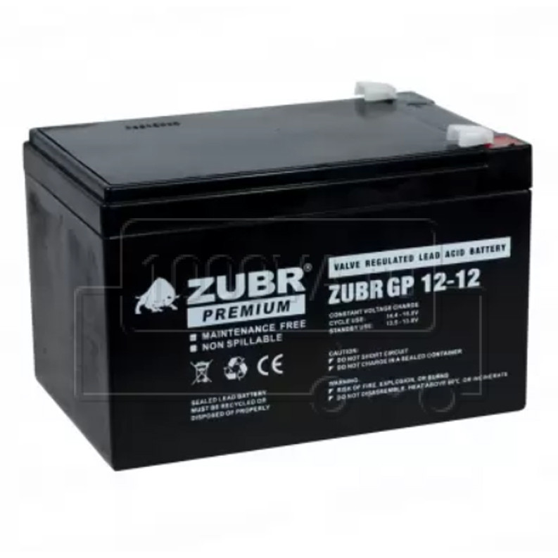 zubr-gp-12-12.jpg