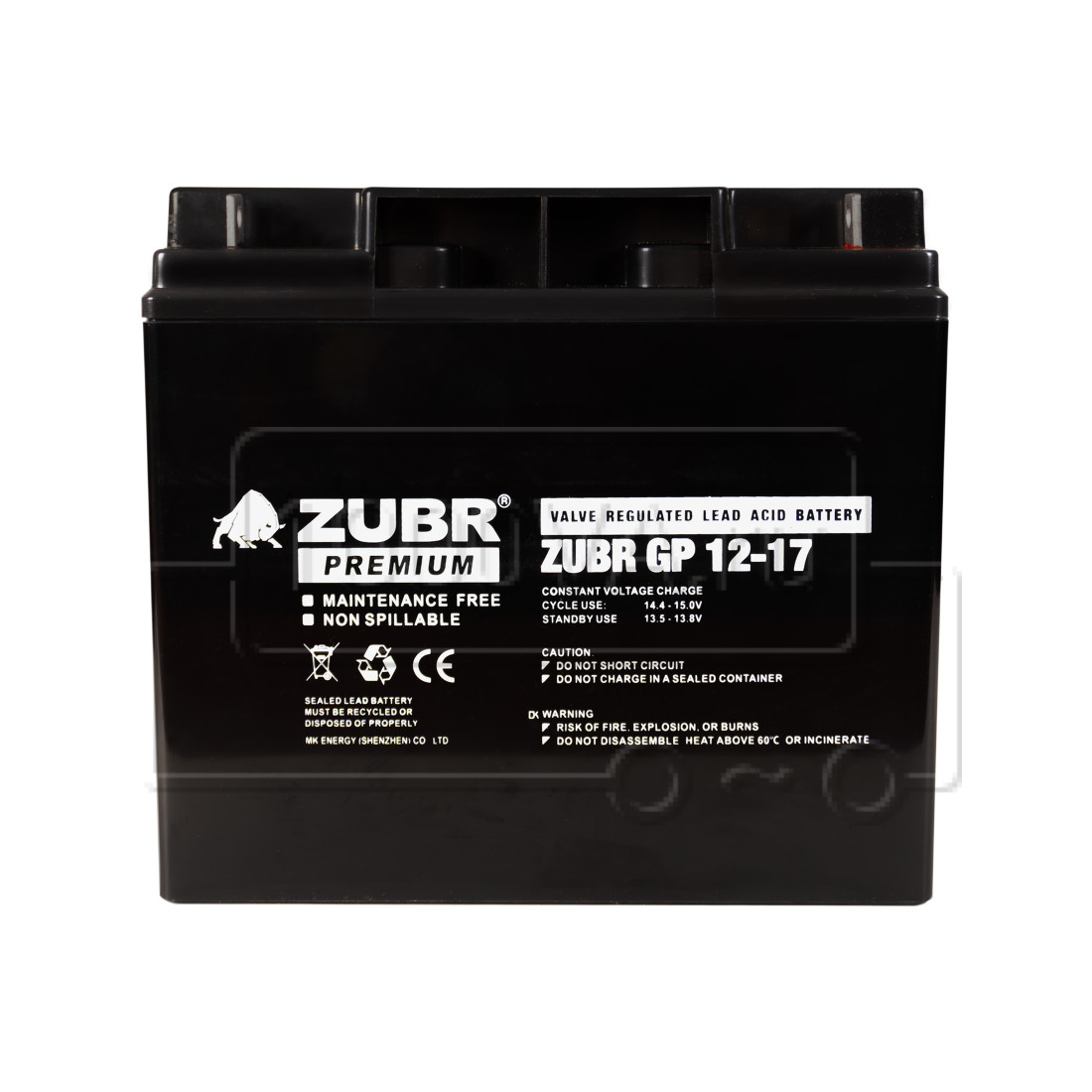 zubr-gp-12-17.jpg